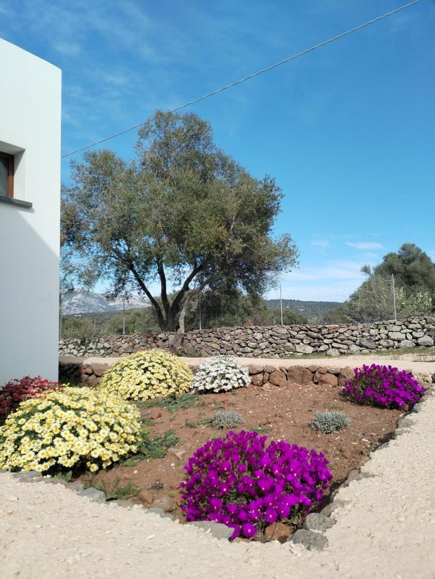 Farmhouse La Croisette - Agriturismo * Dorgali