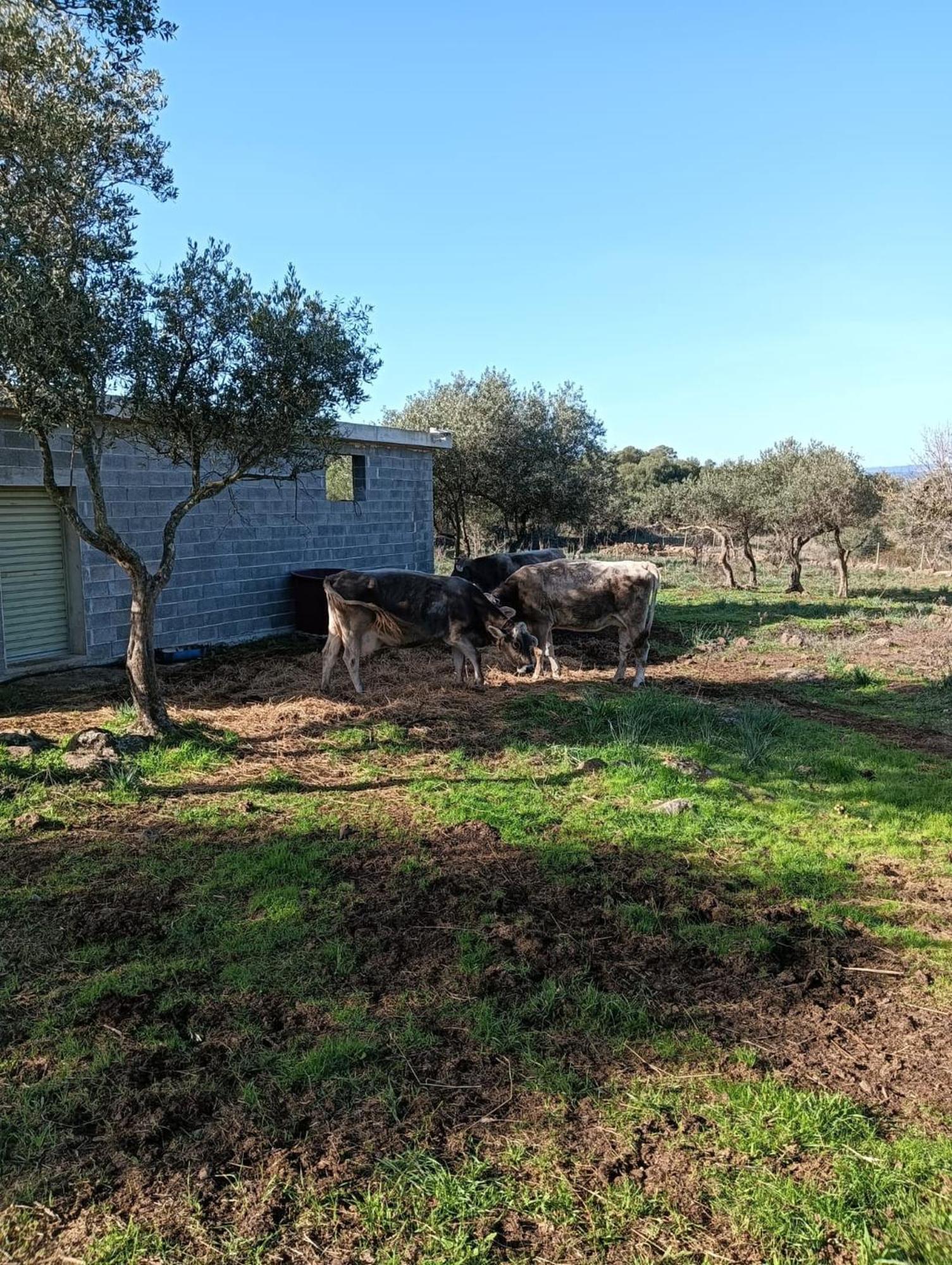 Farmhouse La Croisette - Agriturismo Farm stay *