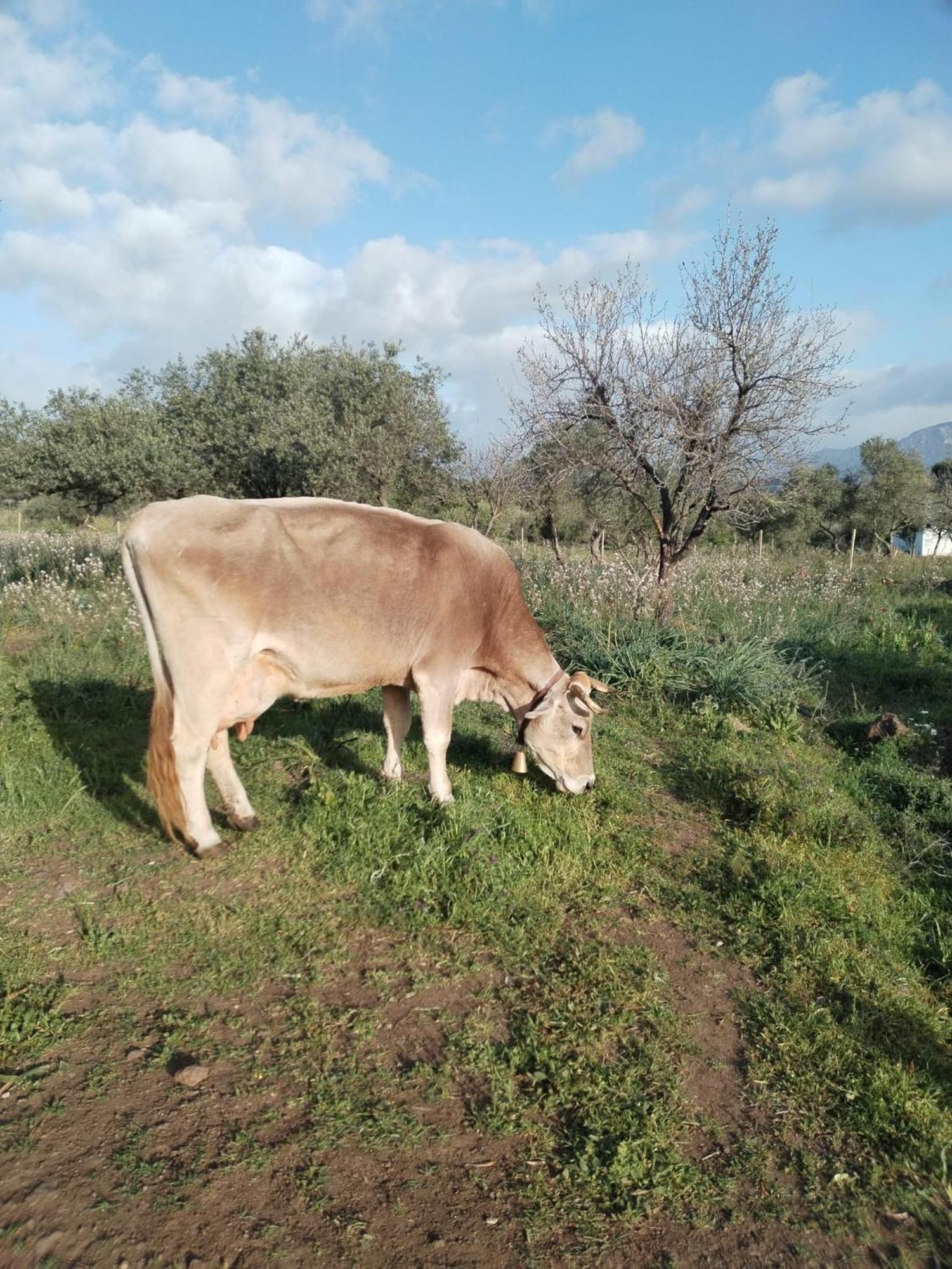 Farm stay Farmhouse La Croisette - Agriturismo