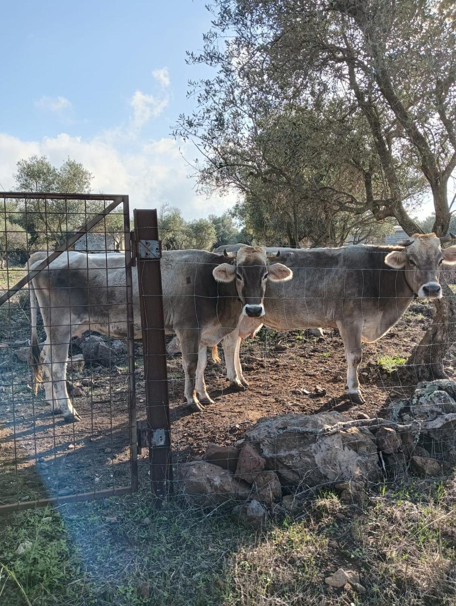 Farm stay Farmhouse La Croisette - Agriturismo *
