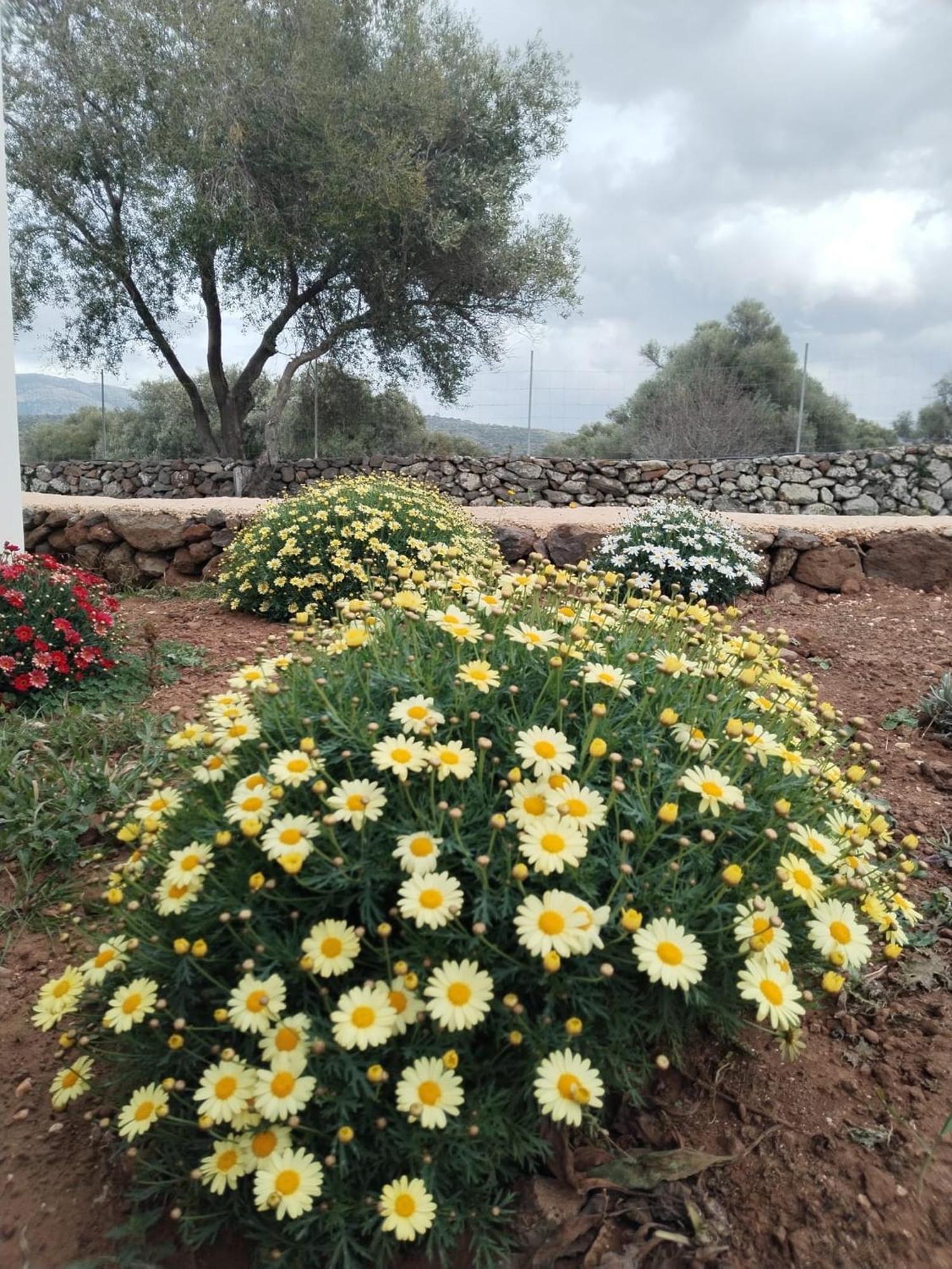 Farmhouse La Croisette - Agriturismo Dorgali